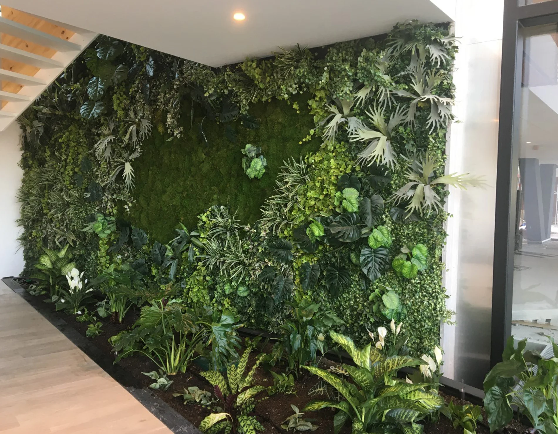 Mur végétal biodiverse à Gand