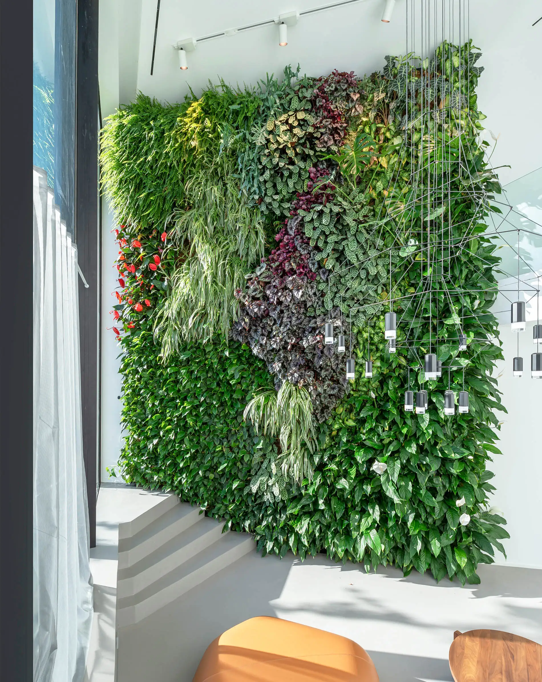 Mur végétal intérieur pour ECS